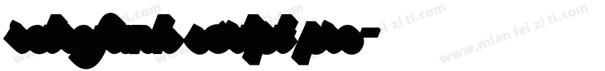 retrofunk scrtpt pro字体转换
